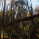 Illustration for article titled Fall photo dump